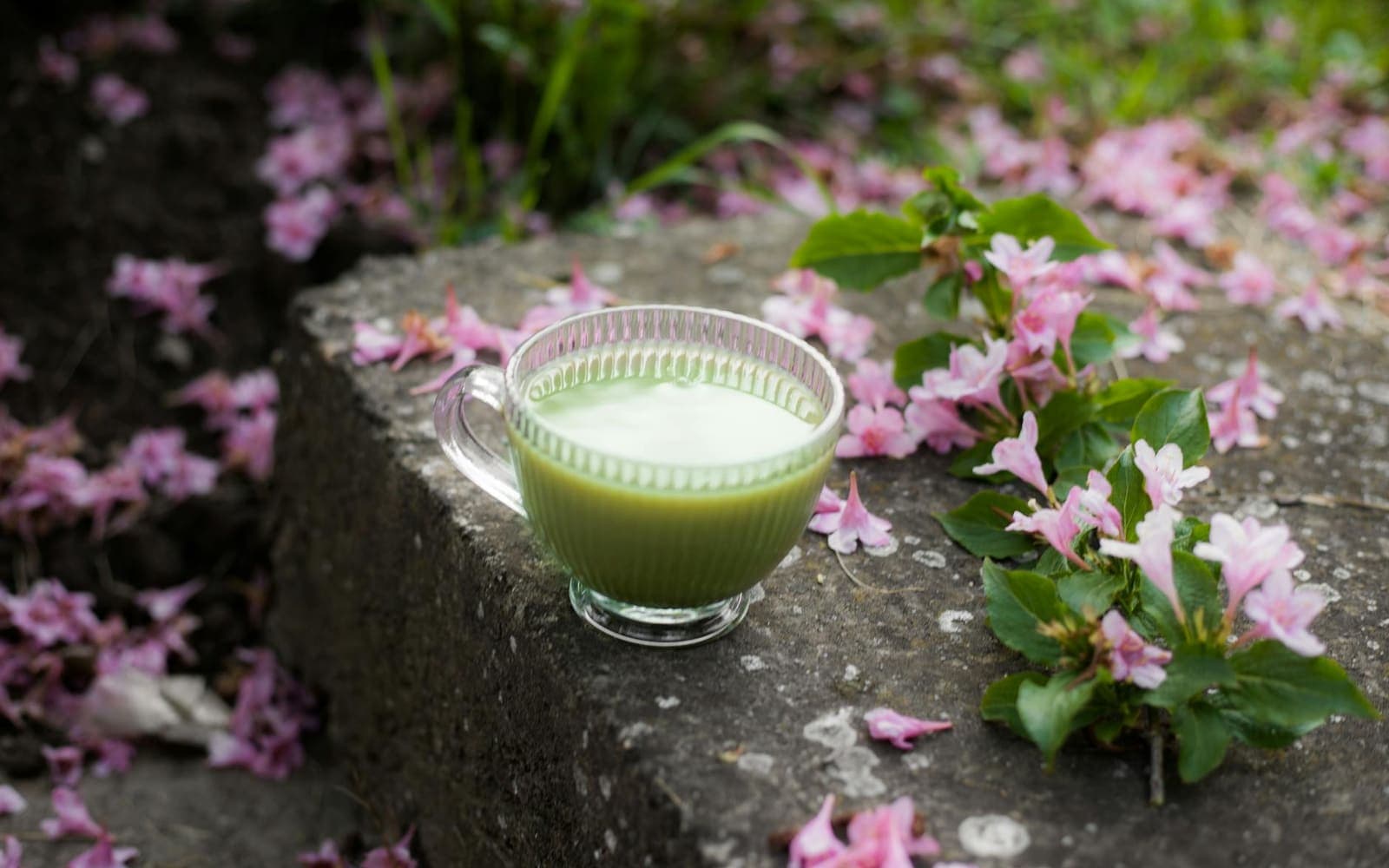 Chá de emagrecimento funciona? Olha o que a ciência diz